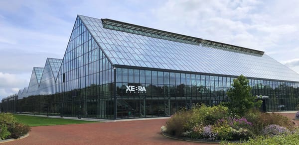 Xebra Successfully Cultivates and Harvests First Cannabis Crop in the Netherlands